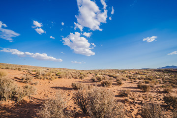 Bushes and Sand at Page,Arizona USA