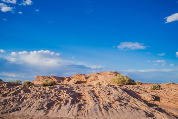 Bushes and Sand at Page,Arizona USA
