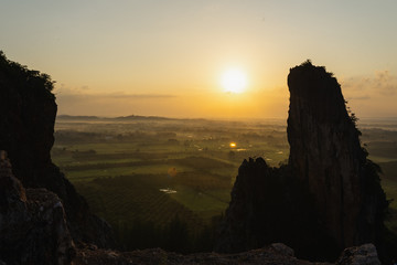 sunrise mountain view with green rice fields