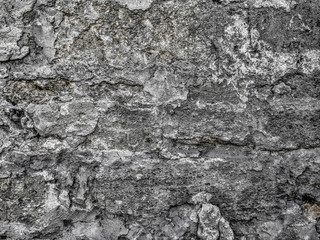 Fototapeta na wymiar atmospheric volumetric texture of old cracked plaster