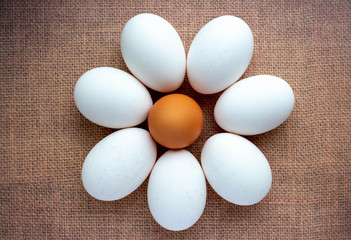 brown chicken egg around white eggs on a brown background