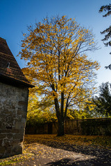 Herbst im Amthof Oberderdingen