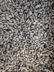  background texture of organic bean beans