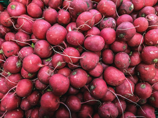 red radishes at market