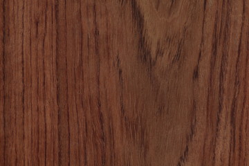 Naklejka premium ブビンガ