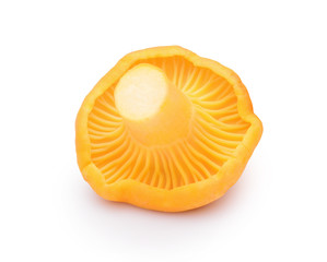 Yellow chanterelle isolated on white background