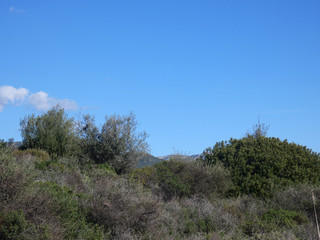 Obraz premium Paesaggio