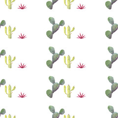 Seamless pattern of watercolor cactus on a white background. Use for invitations, birthdays, menus.