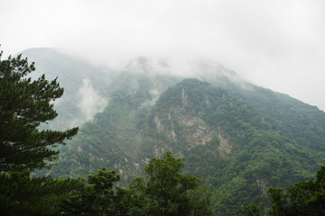 mountains in fog