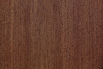 Obraz premium カリン