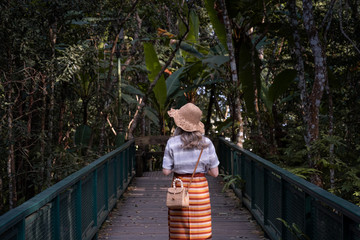Fototapeta premium Single woman with backpack on suspension bridge in rainforest