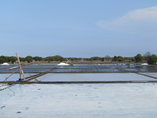 Fototapeta na wymiar A view of a natural salt evaporation pond or tambak garam in village of Sidoarjo region. Traditional home industry with artificial shallow ponds designed to produce from sea water or water brines.