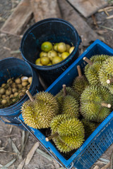 durians in basket along with some fruit on the side