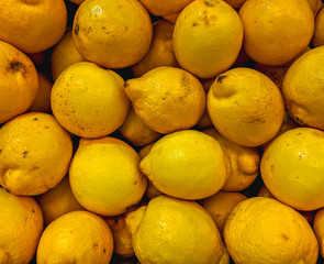 Fresh organic lemons on a market shelf