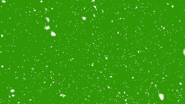 Winter Snow, Falling snow animation loop Slow motion green screen background