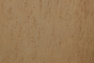 バーズアイメープル