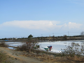 A view of a natural salt evaporation pond or tambak garam in village of Sidoarjo region. Traditional home industry with artificial shallow ponds designed to produce from sea water or water brines.