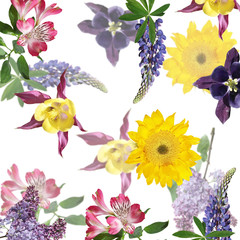 Beautiful floral background of lupine, alstroemeria, sunflower and lilac. Isolated