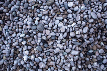 Small round pebbles on the seashore.