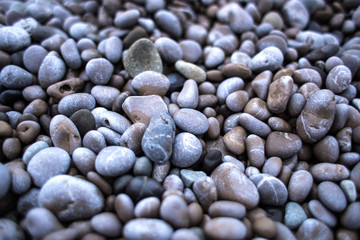 Small round pebbles on the seashore.