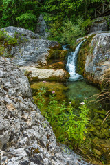 Fototapeta na wymiar Waterfall and flowers on the background of stones