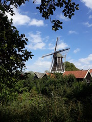 A taste of the Netherlands