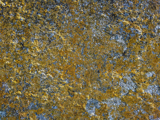 Grunge background texture of natural stone