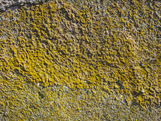 Grunge background texture of natural stone