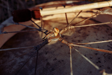 shamanic drum in nature, shamanic drum with magic mushrooms.