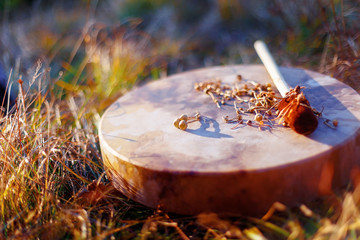 shamanic drum in nature, shamanic drum with magic mushrooms.