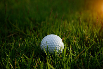 Golf ball on green grass in beautiful golf course