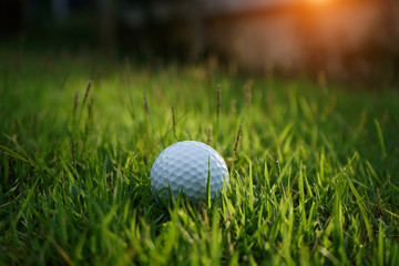 Golf ball on green grass in beautiful golf course