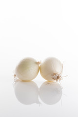 White onions on a white background