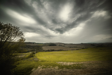 Fototapeta na wymiar Overcast sky over a field in Tuscany