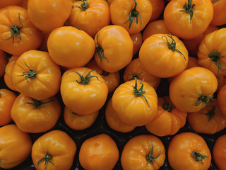 tomatoes on the market