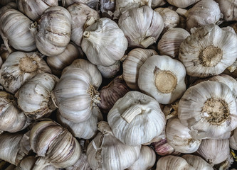 garlic on market