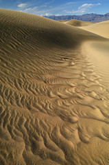 Landscape Mesquite Flat Sand Dunes, Death Valley National Park, California, USA
