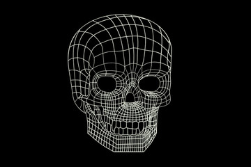 human skull from luminous lines isolated on a black background