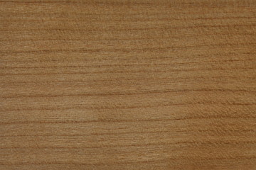 アメリカンチェリー