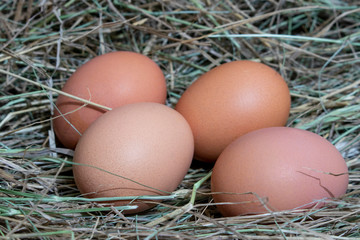 Chicken eggs.