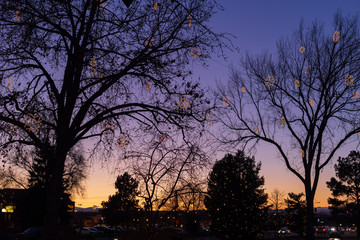 Holiday tree lights in downtown Parker, Colorado at sunset on a clear evening