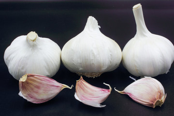 Garlic