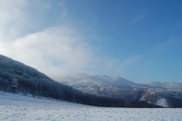 Fototapeta na wymiar winter landscape with trees and mountains