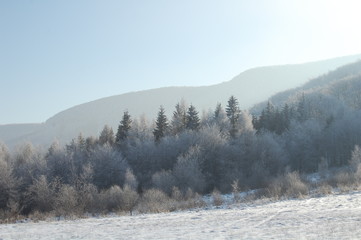 winter landscape with trees and mountains