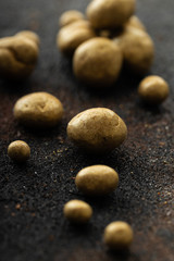 Sweet gold coloured truffles with cinamon, cardamom and clove on a dark rustic background