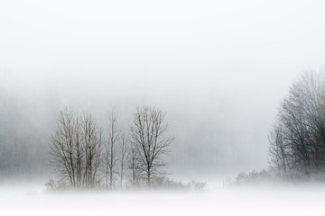 Foggy winter landscape of tree capped island, Twin Lakes, Michigan, USA