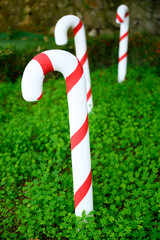 Fototapeta premium Christmas street decorations in warm climates.