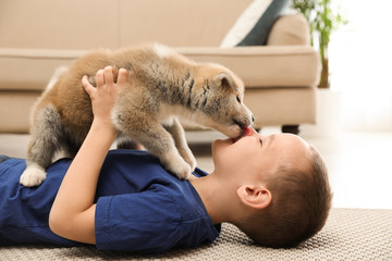 Little boy with Akita inu puppy on floor at home. Friendly dog