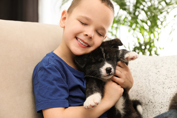 Obraz premium Little boy with Akita inu puppy on sofa at home. Friendly dog