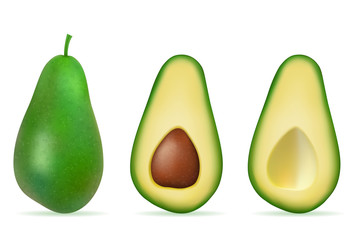 green avocado fresh ripe fruit vector illustration